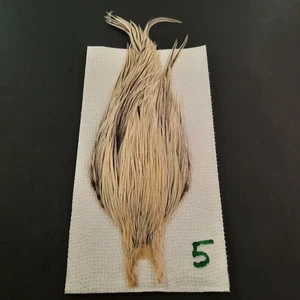 Silver Badger Dry Fly Hackle Neck Cape Dry Fly Tying Feathers #5 Auction - Foto 1 di 8
