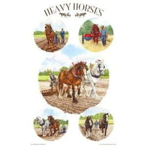 British Clydesdale Heavy Plow Horse Breed Tea Towel Made UK Shire Suffolk - Picture 1 of 1