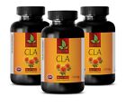 Weight loss protein powder - CLA 1250 mg - immune support formula - 3 Bottles