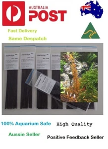 Beeshrimp Pops for bee shrimp cherry shrimp Dwarf shrimp Shrimpy Pops - Foto 1 di 3