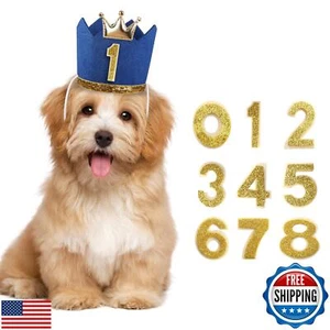 YAODHAOD Crown Dog Birthday Hat Girl Boy Reusable Birthday Party Cat Kitten H - Picture 1 of 5