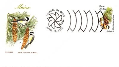 US TOPICAL STATE AVES FLORES FARNHAM: BORLA DE CONO DE PINO BLANCO CHICKADEE Foto 1 de 2