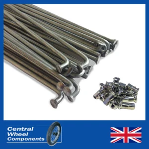 Spoke set (Galvanised) - Triumph (BSA)  Conical - Rear (19'' Rim) - (T150 71-74) - Picture 1 of 3