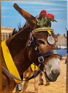 Arnés de Colección Postal DONKEY CON FLORES Y CAMPANA Ludwig John Hinde Irlanda Reino Unido 1003 - Imagen 1 de 2