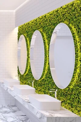 Selbstklebende Moospaneele - Mooswand - Islandmoos - Bild 1 von 4