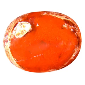 7,44 ct erstaunlicher ovaler Cabochon (16 x 13 mm) unbeheizt Mexiko Matrix Feueropal - Bild 1 von 1