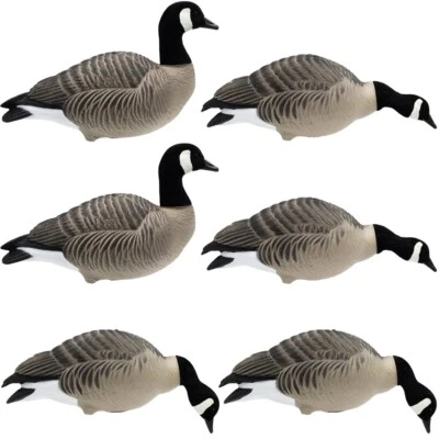 HD FULL BODY LESSER CANADA GEESE DECOYS - 6 PACK - FINAL APPROACH - FA-246274 - Image 1 of 3