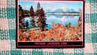 BEAUTIFUL POST CARD TETONS-JACKSON LAKE WYOMING.GRAND TETON NATIONAL PARK