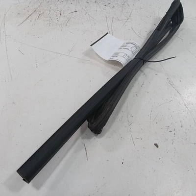 Acura ILX Puerta Vidrio Ventana Sello Goma Izquierdo Conductor Trasero 2016 2017 2018 Foto 1 de 4