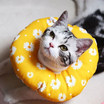 Pet Soft Elizabethan Collar Cone Wound Healing Medical Protective Cone NEW AU - image 1 of 4