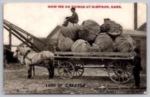 Exaggeration Printed Postcard Johnson Man With Horse Drawn Wagon Load of Cabbage - Picture 1 of 2