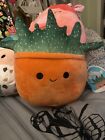 Squishmallow 8” OZ the SUCCULENT Soft Squishy PLUSH NEW with Tags Orange Green
