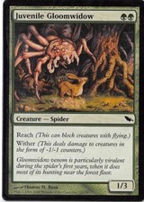 Juvenile Gloomwidow *PLAYSET* Magic MtG x4 Shadowmoor SP