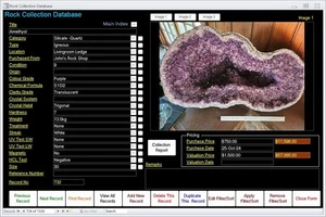 New Rock and Mineral Database Software CDROM for Windows Computers - Picture 1 of 3