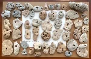 50 Natural Holey Beach Rocks Hag Stones 1/4” hole Fairy Wish Mystical Magic Q7c - Picture 1 of 15