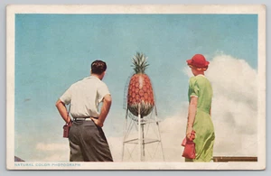 Honolulu HI DOLE Pineapple Water Tower Hawaii Postcard Taken Down in 1933 - Picture 1 of 5
