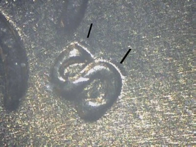 Lincoln Cent 1955-S S Over S RPM #7 EAST GEM BU VVC Foto 1 de 4