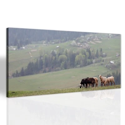 Schafe im Dorf Wohnzimmer Leinwandbilder Canvas XXL Großbild Deko 140x70 - Bild 1 von 4