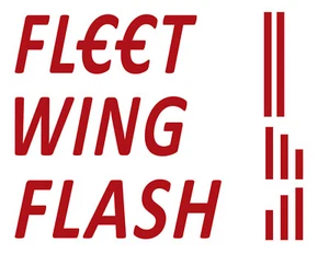 FLEXIBLE FLYER FLEET WING FLASH WATER SLIDE DECALS CLEAR BACKING LASER PRINTED - Picture 1 of 3
