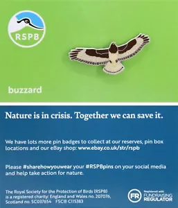 RSPB Pin Badge Buzzard NIIC P03052 - Picture 1 of 1