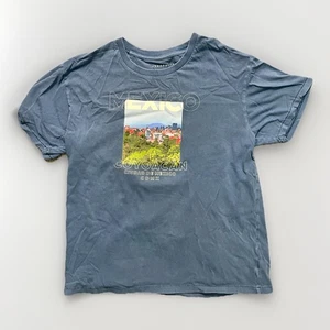 Camiseta Aeropostale Para Hombre Grande Azul Gráfico Estampado Ciudad de México Coyoacán Informal - Imagen 1 de 5