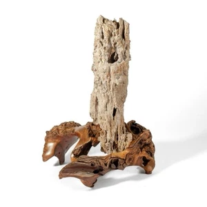BELLISSIMA scultura astratta in legno pietrificato e legno burlato 19” WA artista sconosciuto - Foto 1 di 8
