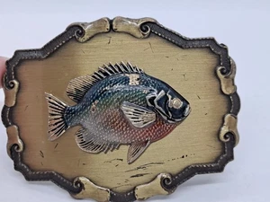 Messing Gürtelschnalle mit farbigen Fischen (Bluegill). Tolles Detail. *LESEN* - Bild 1 von 8