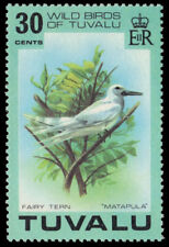 TUVALU 75 (SG83) - Fairy Tern "Sternula nereis" (pa94497)
