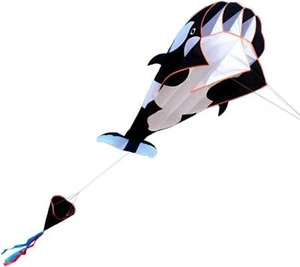 Drachen Riesiger 3D Parafoil 120x215cm Einleiner weicher groß Kids Happiness - Bild 1 von 8