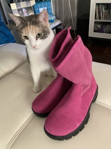 Las mejores ofertas en Plano (menos de 1 pulgadas) Bootie Mujer Invierno |  eBay