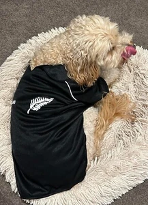 New Zealand Kiwi Black Rugby Dog Clothes shirt Jersey xs 20cm - med 30cm - NEW - Picture 1 of 7