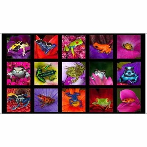 2.6 Yards Digital Cotton Fabric - QT Fabrics Artworks XVII Frogs Squares Panel - Picture 1 of 1