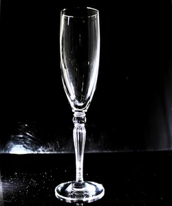 Waterford Stemware: Carleton - Platinum Fluted Champagne, 9.25" | Nox Box - Imagen 1 de 2
