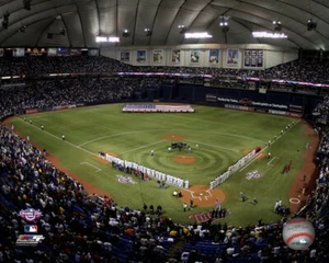 16 X 20 Metrodome Minnesota Twins Photo AAJO106 - Picture 1 of 1