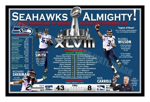 SEATTLE SEAHAWKS 2013 SUPER BOWL CHAMPIONS 19x13 COMMEMORATIVE POSTER Cover