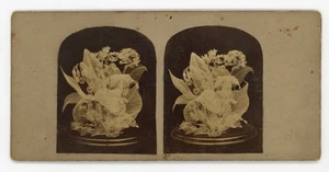 Arreglo de bodegón hoja esqueleto victoriano Stereoview años 1800 - Imagen 1 de 2