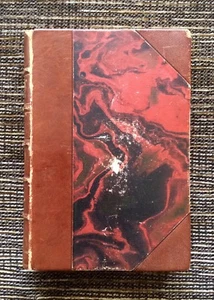 VERY RARE VINTAGE 1920 Helgonet Och Narren: Saint and Fool by Agnes Gunther - Picture 1 of 9