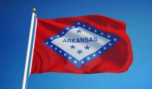 ARKANSAS STAATSFLAGGE Neu Top Qualität 2x3 Fuß Größe Fade Resist Flagge US-Verkäufer - Bild 1 von 3