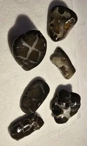 Rocks Septarian Lightning Stones Lot Of 6 Michigan 14.9oz. Free Shipping Oiled - Picture 1 of 6