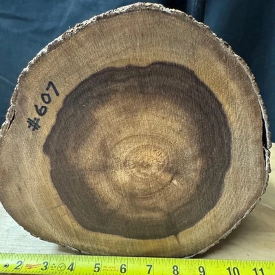 #607 HAWAIIAN KOU WOOD BOWLS,WOOD CARVING,CRAFTS,PENBLANKS,knife Scales - Imagem 1 de 4