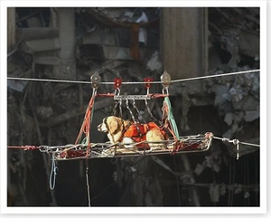 World Trade Center 9/11 Rettungshund im Transport Silberhalogenid Foto - Ver 2 - Bild 1 von 1