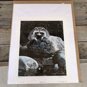 Vintage "Niedrigwasser Waschbär" Druck SIGNIERT & NUMMERIERT von R.S. Parker 1986 SEALED! - Bild 1 von 8