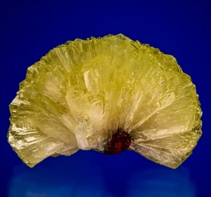 Adamite Ojuela Mine, Mapimi, Municipio de Mapimi, Durango, Mexico 1902-A017 - Picture 1 of 4
