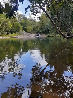Photograph Jungle Beautiful Sri Lanka River Photo Image Nature Picture Print