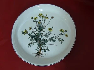 Plato redondo profundo Villeroy & Boch Vilbofour botánica 12 3/4" anthemis tindoria - Imagen 1 de 6