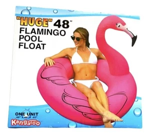 Cute Durable Pool Float | Summer Swim Floatie | Fun Statement Pool Accessory - Picture 1 of 2