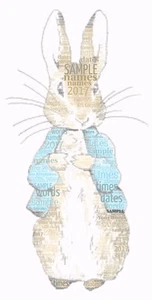 Wortkunst Bild personalisiert Geschenk Andenken Peter Hase 1. Geburtstag - Bild 1 von 1