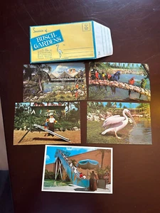 Lot of 5 Vintage Postcards with Envelope - Busch Gardens - early 60s - Picture 1 of 6