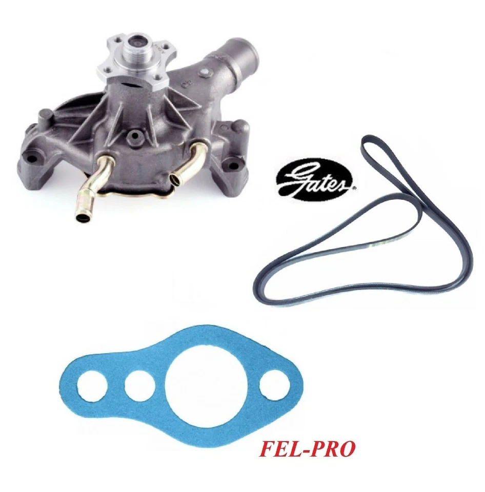 Bomba de agua Gates y correa serpentina y junta para Chevrolet S10 V6 4,3 L 1999-2001 Foto 1 de 1