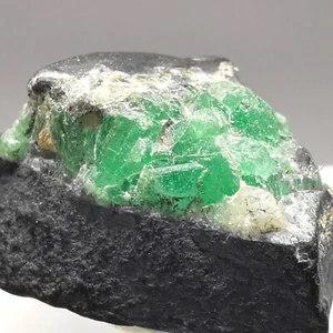 18.46ct Emerald w. Matrix / Muzo, Colombia / Rough Crystal Gemstone Specimen - Picture 1 of 24